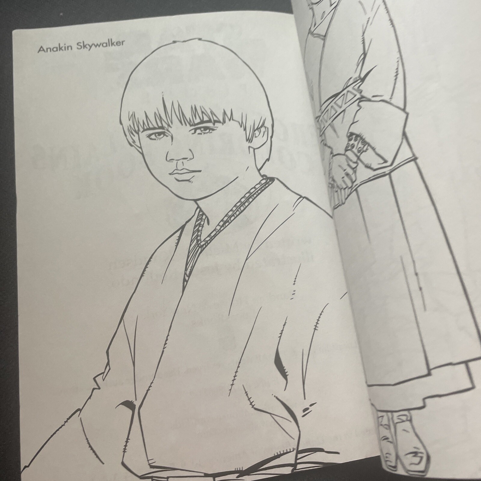 Picture 4 of 11