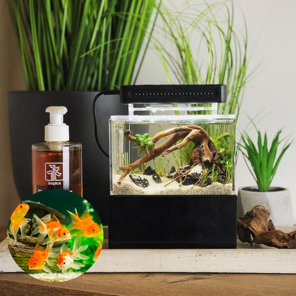 Portable Desktop Aquarium Mini Fish Tank With High Quality Bio