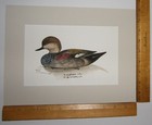 Picture 8 of 8