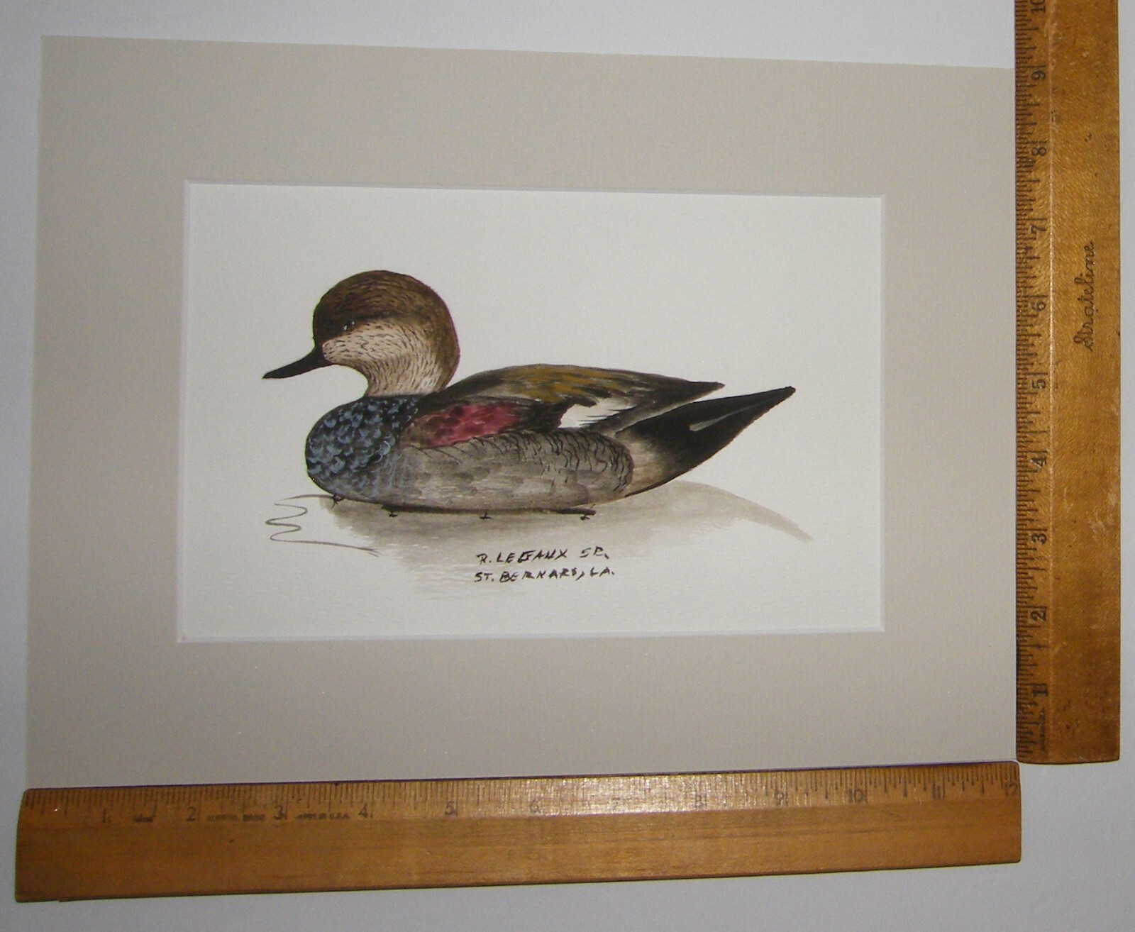 Picture 8 of 8
