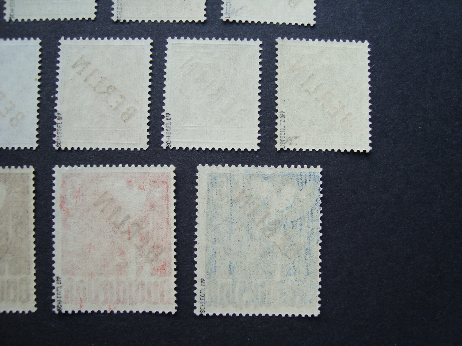 Bild 10 von 10