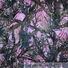 BonEful Fabric Fleece Bthy 1/2 Yd Pink Brown Us True Timber Camo Tree Hunt Cabin