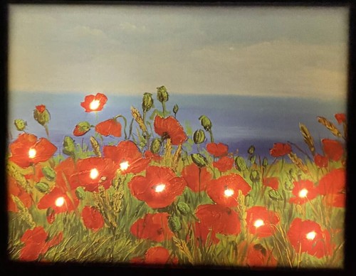 Hintergrundbeleuchtete LED "Mohnblumen am Meer" Outdoor-sicher Leinwand Wandbild mit Timer