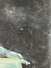 Bild 9 von 12