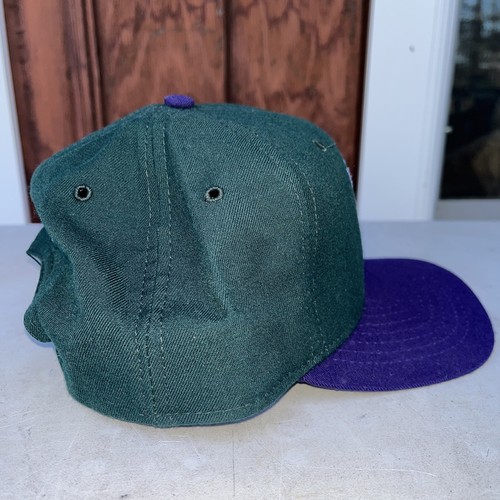 Augusta Greenjackets Minor League Baseball Vintage 90s New Era Snapback Hat USA - Picture 5 of 10