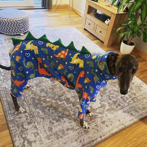 Hund Dinosaurier Pullover Fleece Mantel Windhund Lurcher 20-22" Dino & Smaragd - Bild 8 von 12