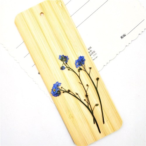 Jewelry Forget-Me-Not with Stem Dried Flowers Pressed Flower Don't Forget Me - Picture 2 of 7