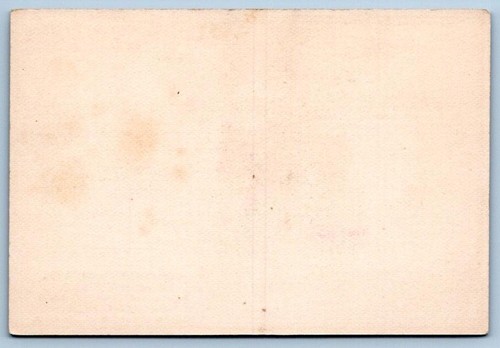 1881 CARTE FANTASIA GEO SMITH BOSTON TRENO FERROVIA COPPIA NEVE FRENZEL CARTA COMMERCIALE - Foto 2 di 2