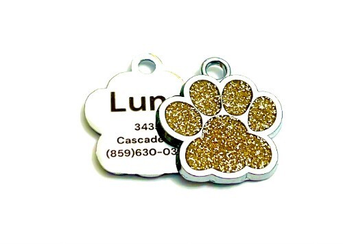 Edelstahl GOLD PFOTE INDIVIDUELL LASER PERSONALISIERT HAUSTIERMARKE HUND KATZE NAMENSSCHILD - Bild 1 von 1