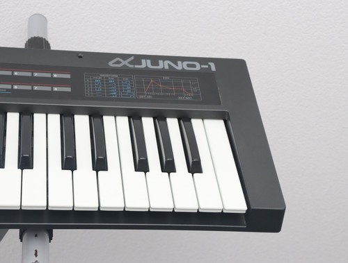 Roland Alpha Juno-1 - 49 przyciskowy syntezator + 1 rok gwarancji - Zdjęcie 5 z 7