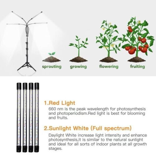 Grow Light w/Stand for Indoor Plants 5500K Full Spectrum Plant LED Lamp 4-Head - Picture 2 of 7