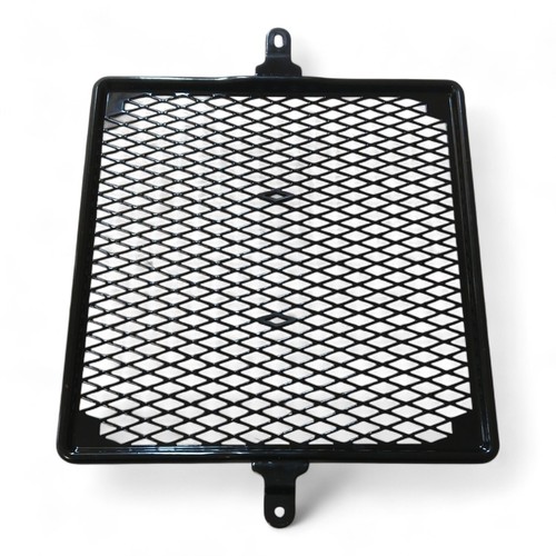 TRIUMPH Scrambler 1200 XE XC 1200 Radiator Grill Cover Guard Removed @ Birth - Picture 6 of 6