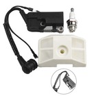 Garden Ignition Coil Accessory For 4500 5200 5800 Chinese High Quality