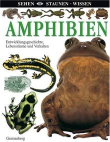 Amphibien: Entwicklungsgeschichte, Lebensräume und Verha... | Buch | Zustand gut