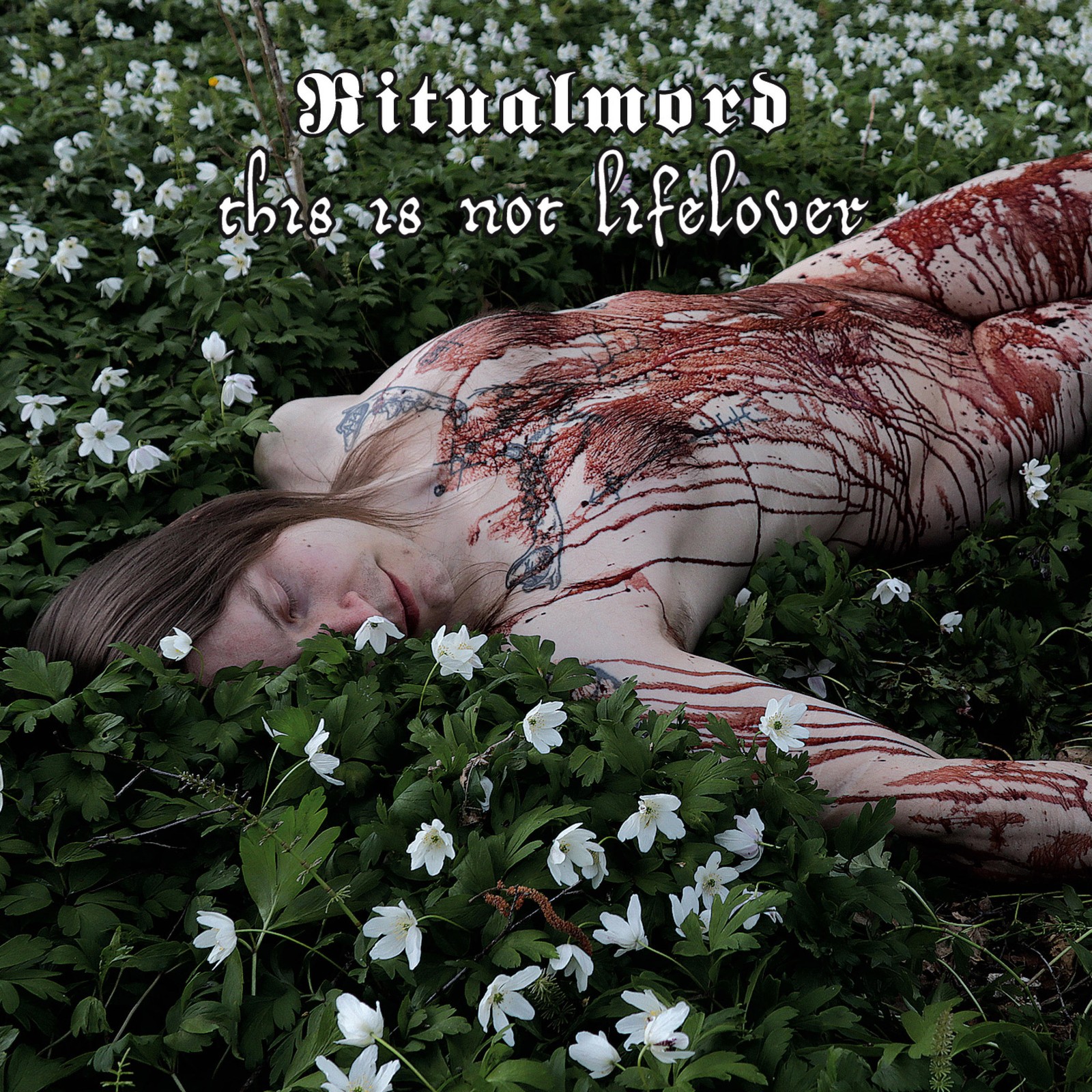 Альбом Ritualmord This Is Not Lifelover (винил) 12