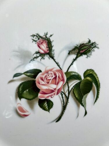 Vintage Universal Ballerina Moss Rose Chop Plate Round Platter 13.25" - Picture 3 of 6