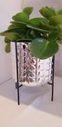 Bild 16 von 22