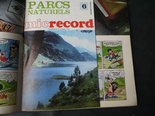 JOURNAL RECORD N°114 DE 1971 + MICRECORD+MACRECORD MEGALITHE ERIK - Picture 3 of 3