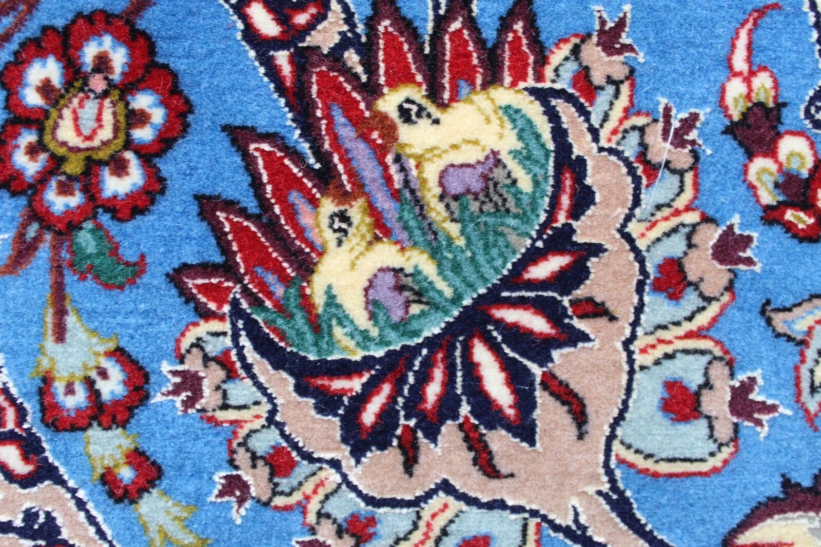 Picture 13 of 20