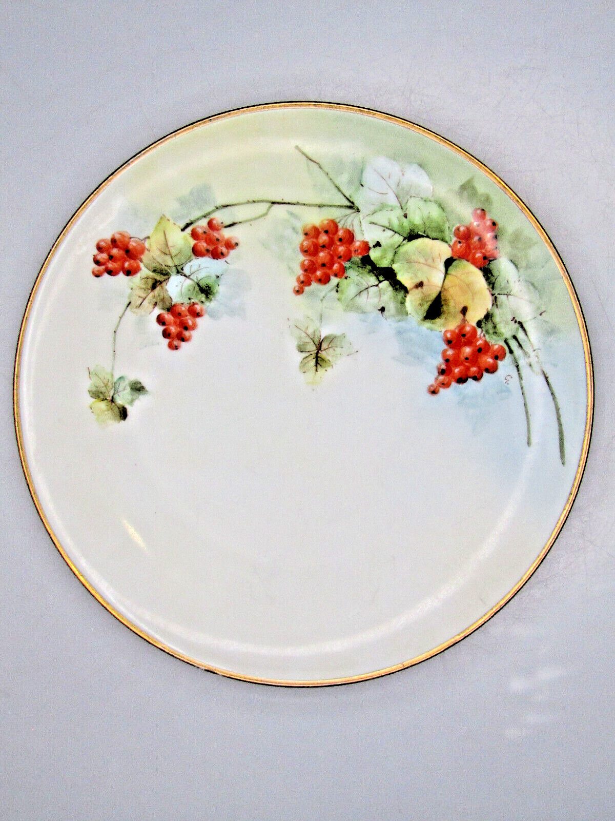 Thomas Bavaria Hand Painted Plate Red Currant Berry Decorative Plate Signed