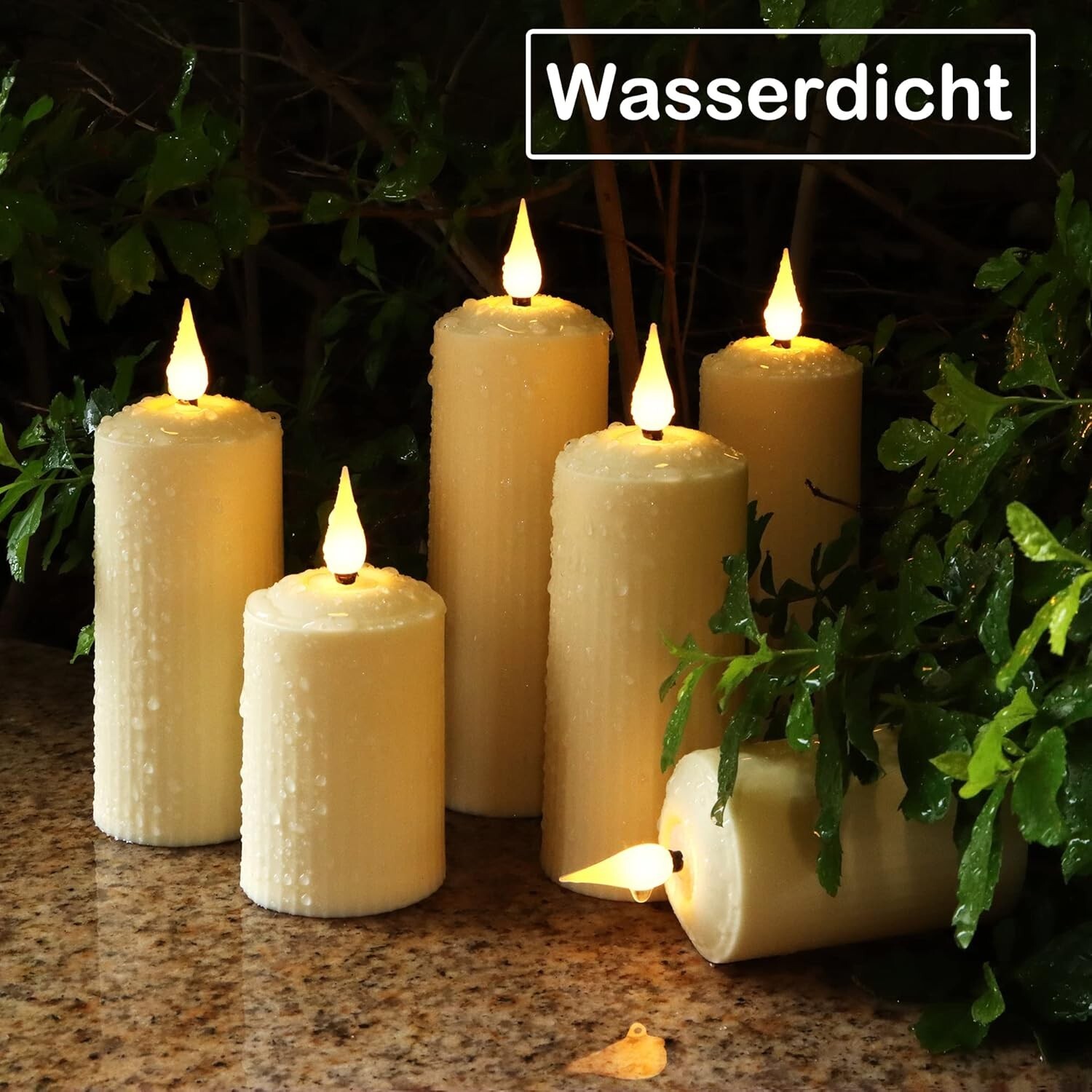 Bild 3 von 8