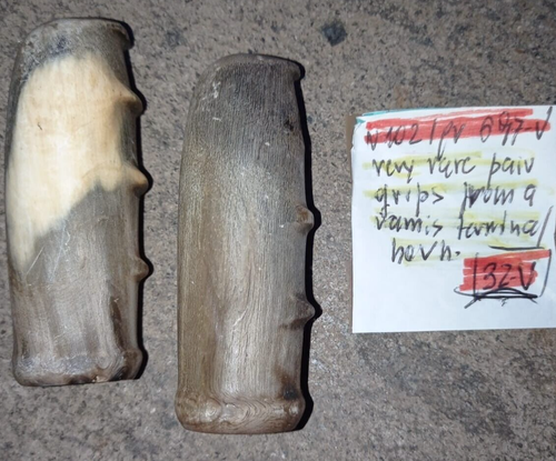 VERY RARE PAIR GRIPS IN ONE PIECE FROM A RAM’s HORN TERMINAL MANOPOLE IN CORNO - Picture 5 of 5