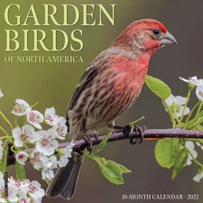 Willow Creek Garden Birds of North America 2025 12 x 12 Wall Calendar w