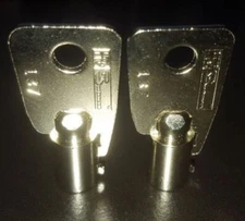 2 New Husky Keys Code Cut A2001 - A2019 Tubular Round Ace Key