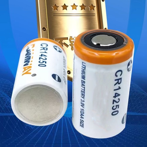 CR14250 3V 600mAh Battery Without Plug for Water Meter Detector Brand New - Picture 6 of 10