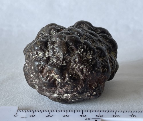 Caca de dinosaurio prehistórico coprolito fósil antiguo bien formado grande 527 g - Imagen 4 de 10