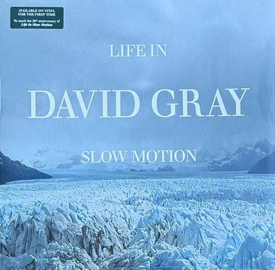 David Gray   Life In Slow Motion (20th Anniversary Edition)   Vinyl LP