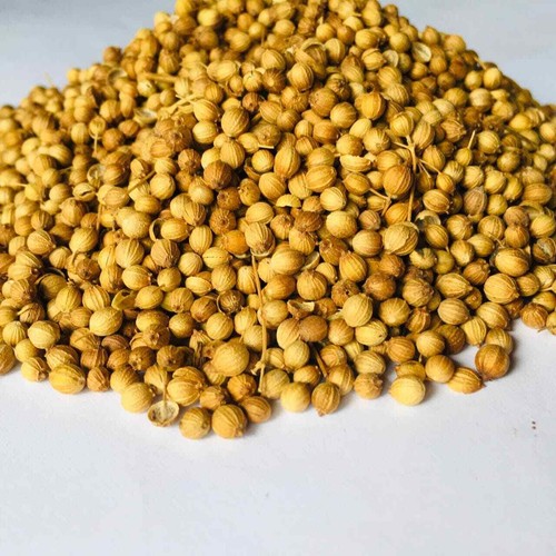 Semillas de cilantro seco enteras 3,50z especias orgánicas frescas de Ceilán envío gratuito 50 g - Imagen 6 de 12