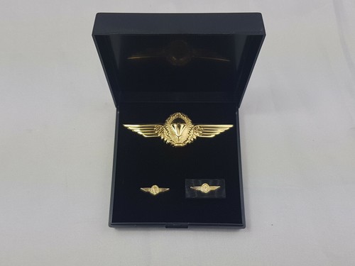 (A26-003 Bundeswehr Fallschirmjäger Fallschirmspringer Abzeichen Gold Set Etui - Picture 1 of 3