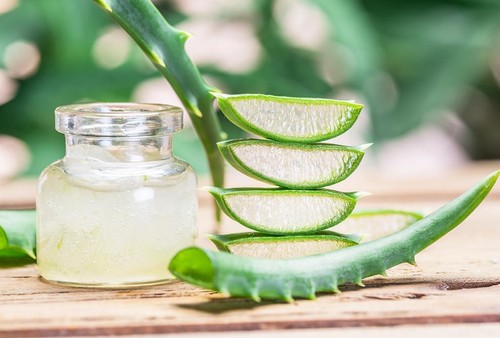 Aloe Vera Gel - 100% Pure Organic Soothing Moisturizing Skin Care Lotion 8 fl oz - Picture 3 of 6