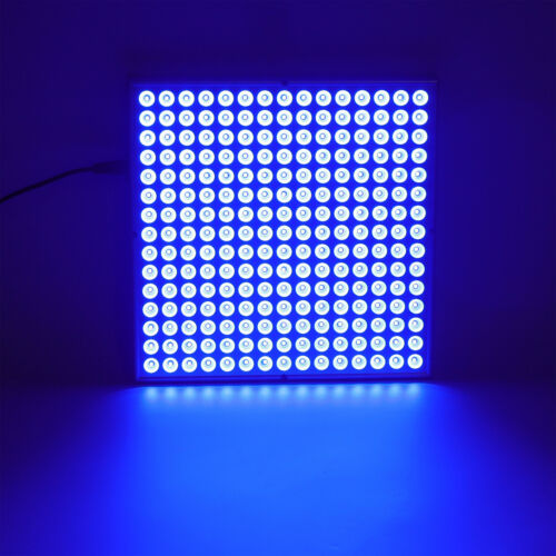 225 LED Voll Blau Therapielampe 460nm Tragbar Selbstbräuner Licht - Bild 3 von 11