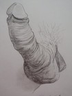 Bild 16 von 20