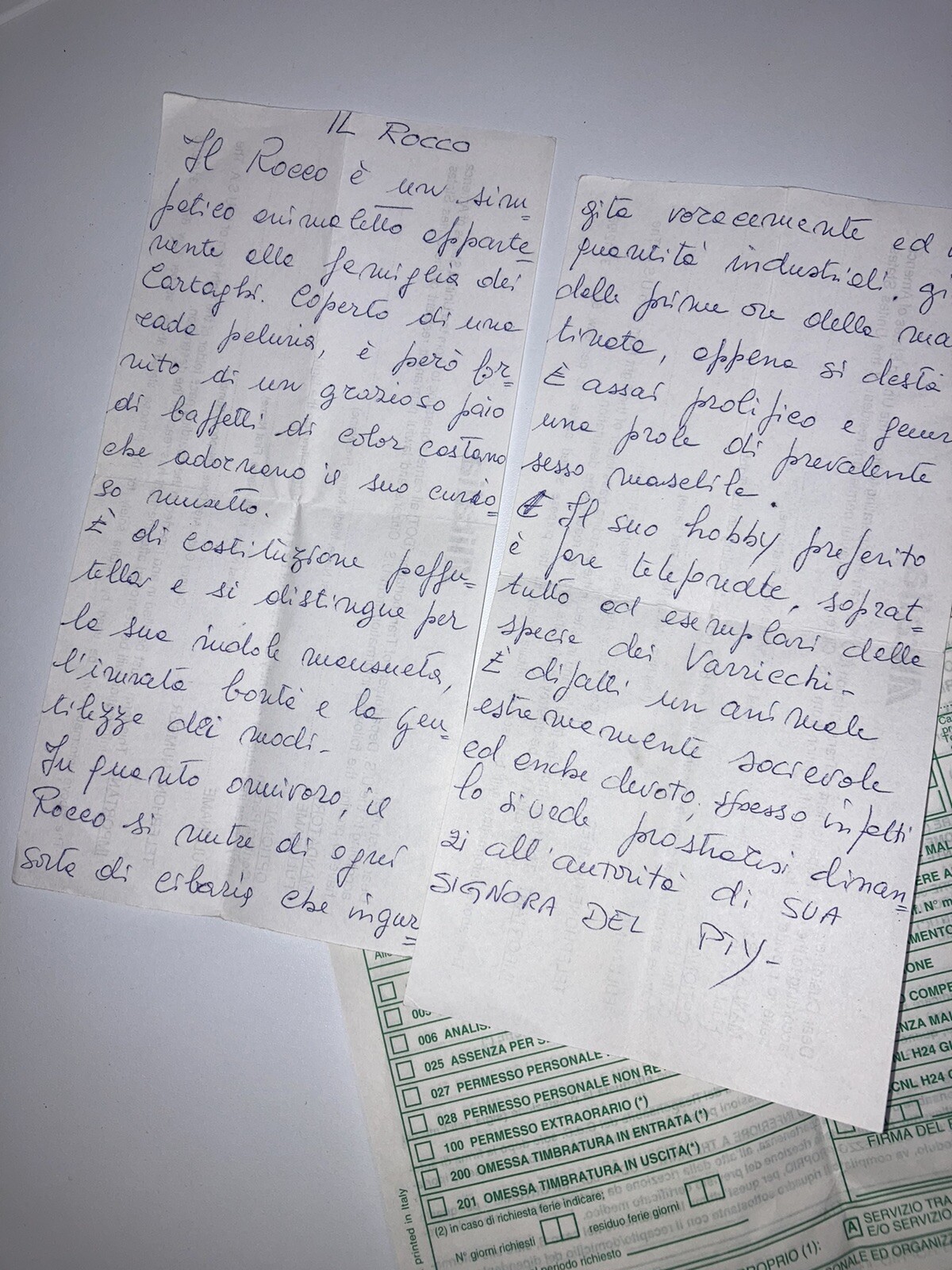 Foto 5 di 5