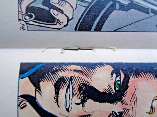 Evangeline Vol 2 No. Primera impresión de cómics de Dixon & Hunt 9 de septiembre de 1988 casi nueva (9,4) - Imagen 5 de 8