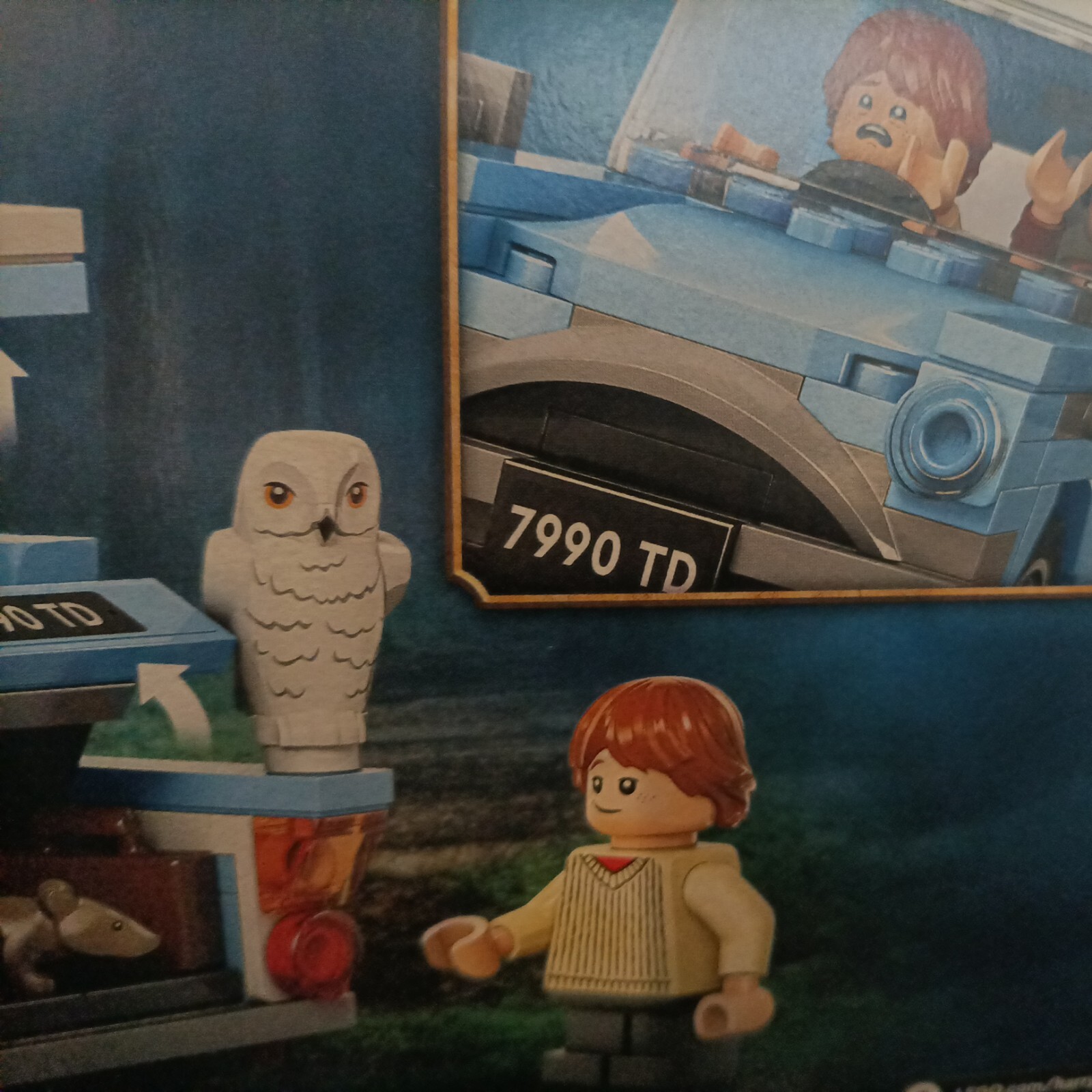 Picture 5 of 6