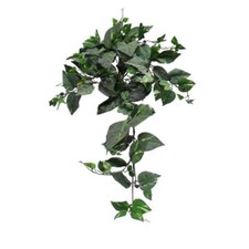 Frosted Pothos Bush of 8 Stems 34in With 155 ...