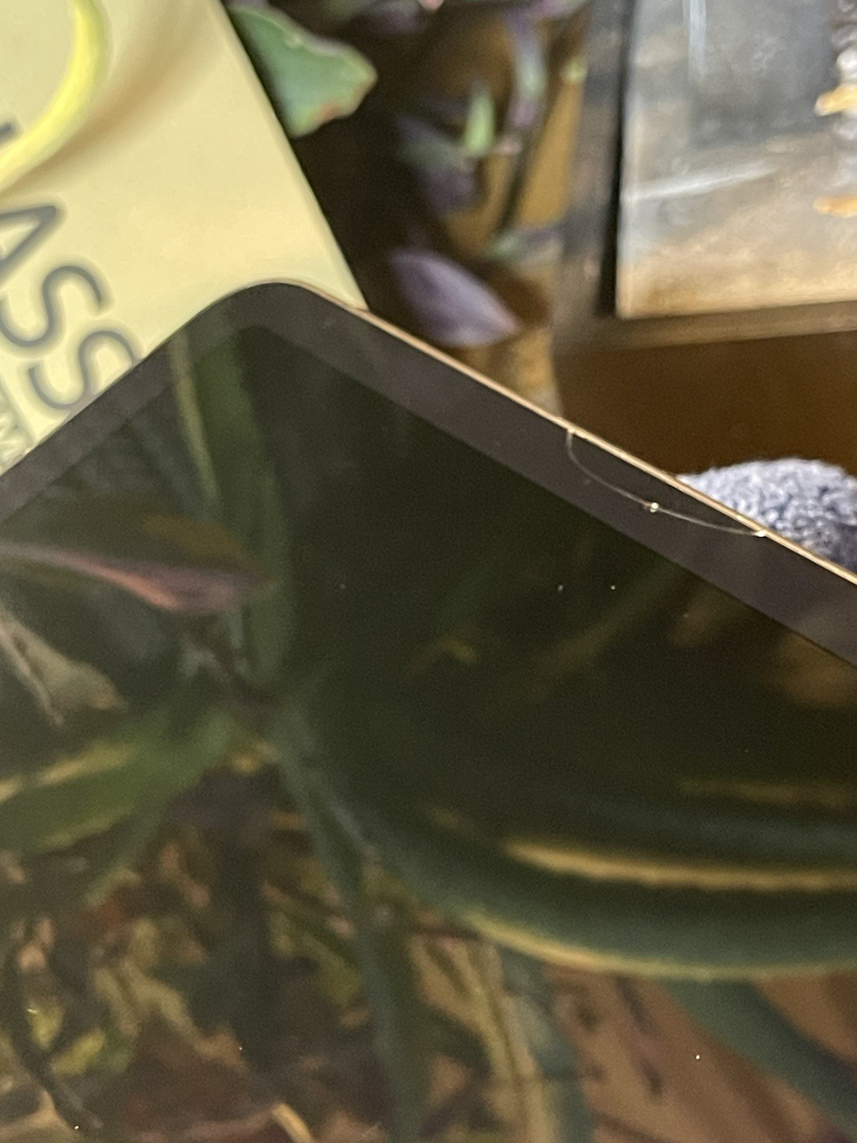 Picture 3 of 15
