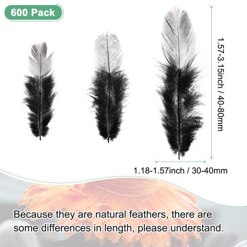 600-Pack Feathers for Crafts Black Natural Fluffy Plume 1.6-3 Inch - Picture 3 of 6