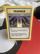 Image for Pewter City Gym