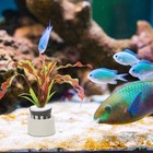 10 Sets Water Plant Bases Planting Cups Planting Sponge Practical for Fish Tank