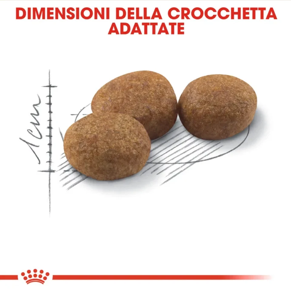 STERILISED 37 ROYAL CANIN 10 KG PER GATTI ADULTI STERILIZZATI - Immagine 2 di 3