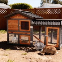 Wooden Rabbit Hutch with Run - Outdoor Indoor Bunny Cage and Chicken Coop House 2