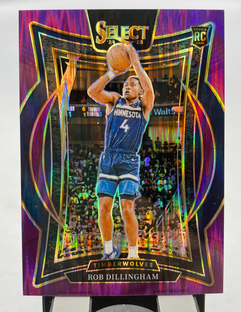 Rob Dillingham 2024-25 Panini Select 154/249 Purple Flash Concourse RC #84