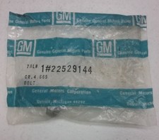 GM MOUNTING BOLT #22529144