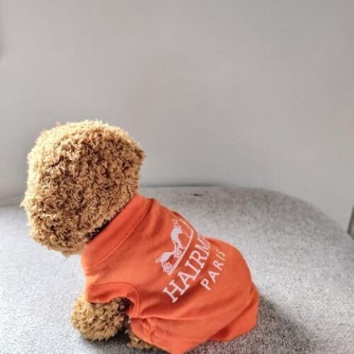 Hund/Katze/Haustier/Welpe Designer inspiriert Shirt Weste Kostüm Bekleidung T-Shirt Kleidung - Bild 5 von 5