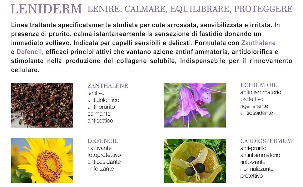 Foto 6 di 7